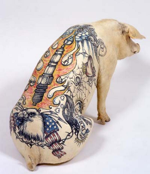 Belgian artist Wim Delvoye Tattooed Pigs