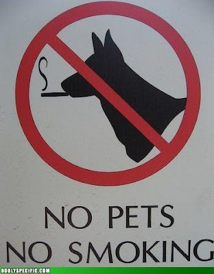 No Smoking- No Pets