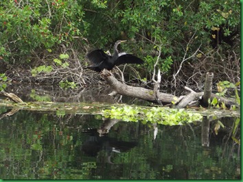 Alexander Springs (83)