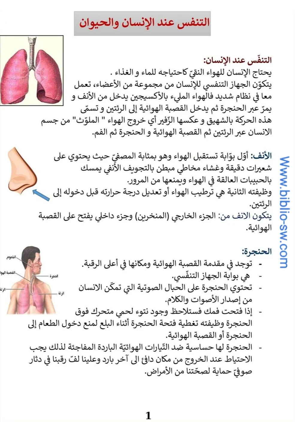 التّنفس عند الإنسان و الحيوان