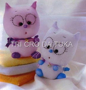 gatos meia