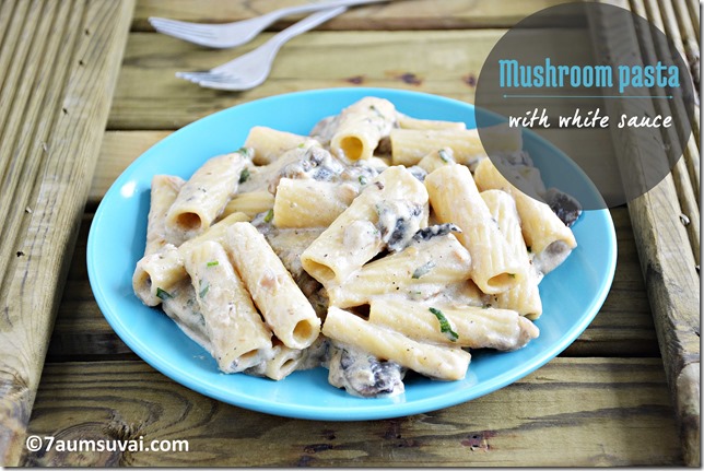 Mushroom pasta with white sauce 