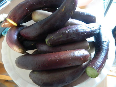 Melanzane