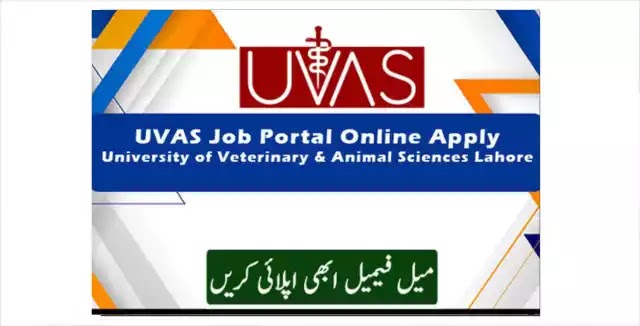 University of Veterinary & Animal Sciences Jobs 2023