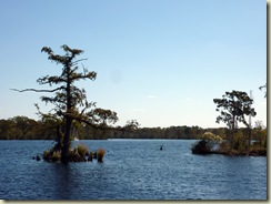 P1120966