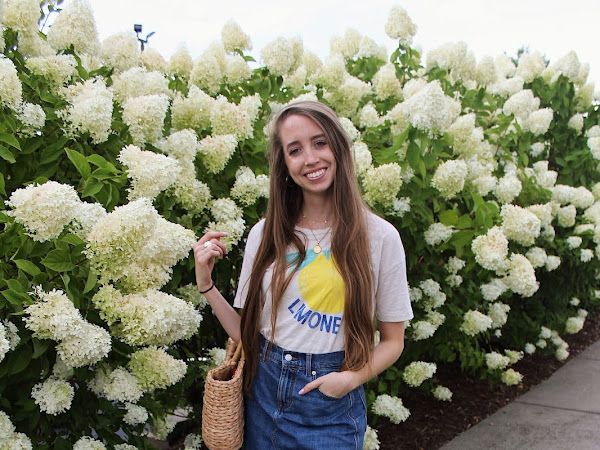 Hydrangea Heaven