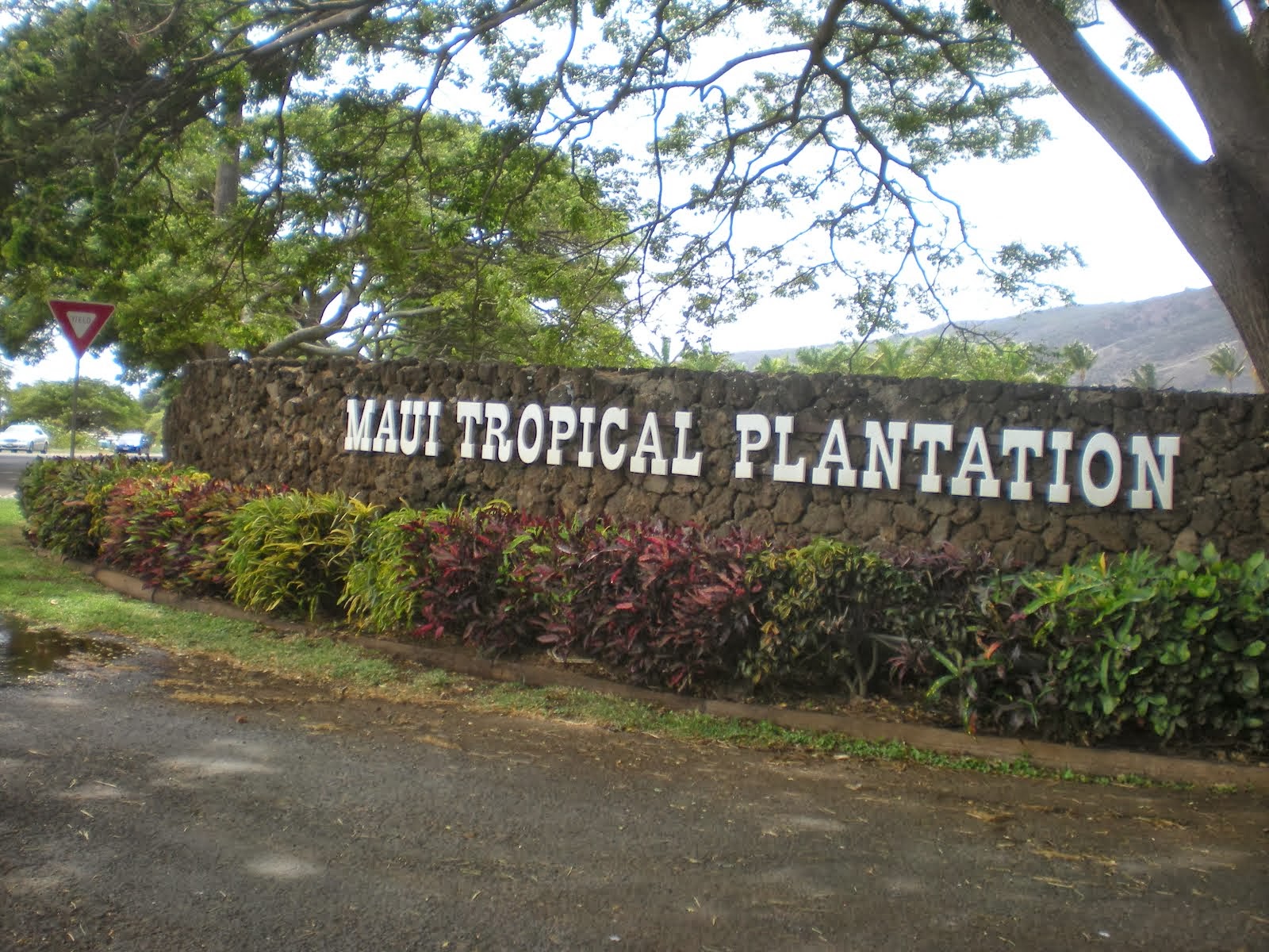 17. Maui Tropical Plantation