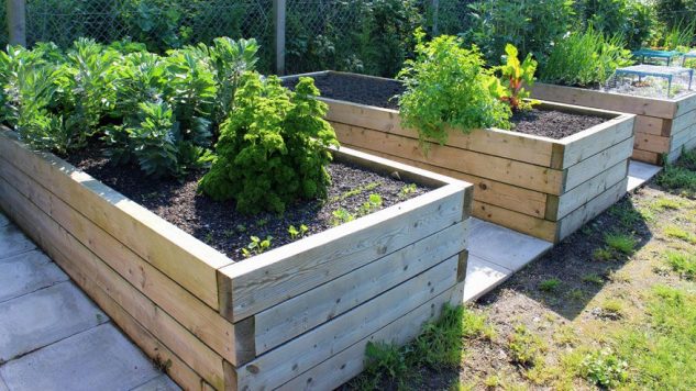 25 Creative Cheap Raised Garden Bed - Home Decor