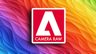 Adobe Camera Raw 10.5 Installer Offline