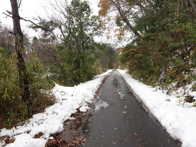 鳥取県西伯郡南部町荻名 農道