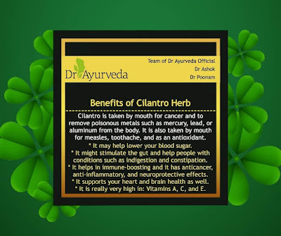 Benefits of Cilantro Herb by DrAyurveda