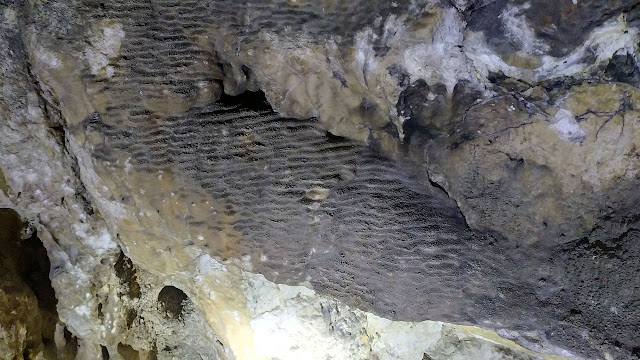 Jaskinia w Sokolnikach pozostałości szaty naciekowej.