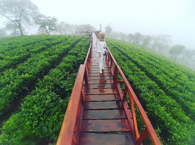 Bukit Kuneer Wonosari Malang