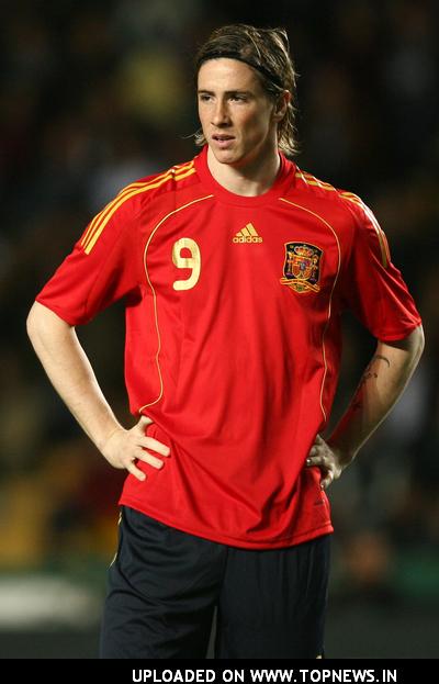 fernando torres spain