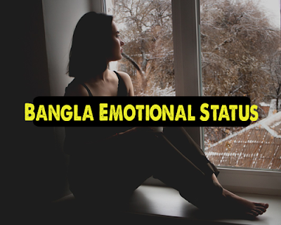 Bangla Emotional Status