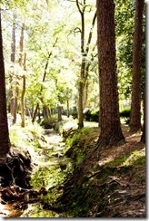 IMG_6493 IMG_6493