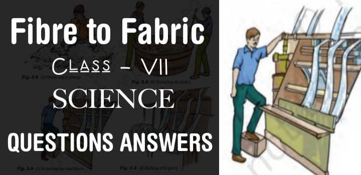 Fibre to Fabric class 7 Science NCERT Solutions