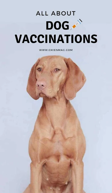 og Vaccinations - Everything you must know