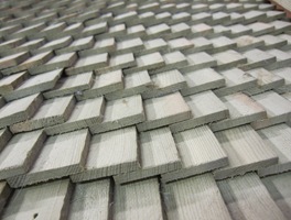 Februar 2011 128