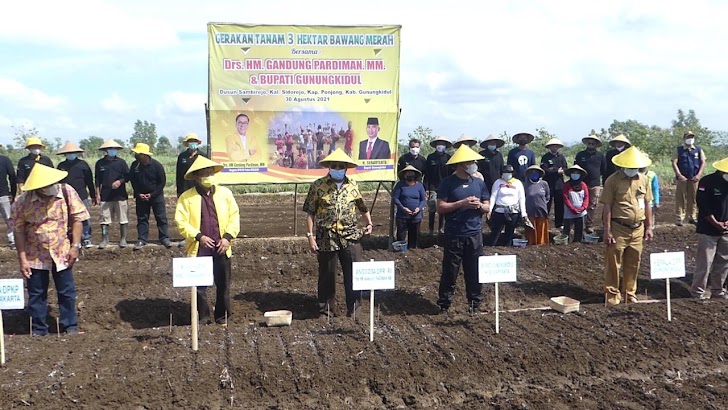 Dorong Petani Bangkit, Gandung Pardiman Salurkan Bantuan dan Pimpin Gerakan Tanam Bawang