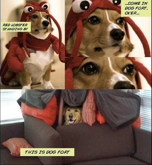 Red lobster requesting dog fort