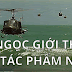 VŨ ĐÌNH HẢI Nỗi Đau Trên Chiến Trường