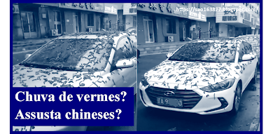 MENTIRA: “Chuva de vermes?” assusta cidade na China e encobre carros