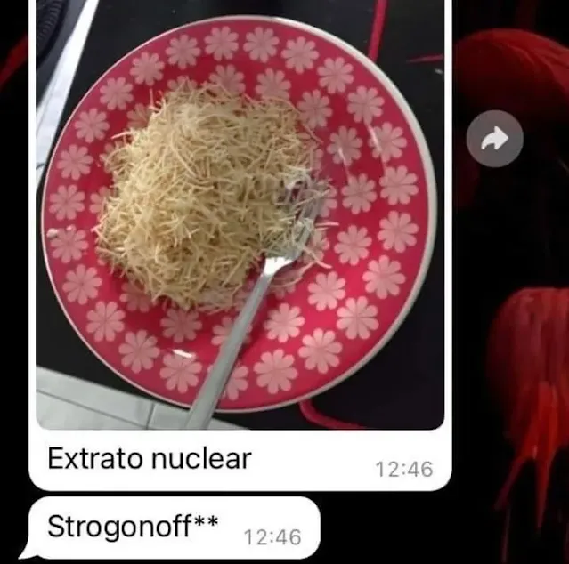 extrato nuclear strogonoff escrito errado print whatsapp meme