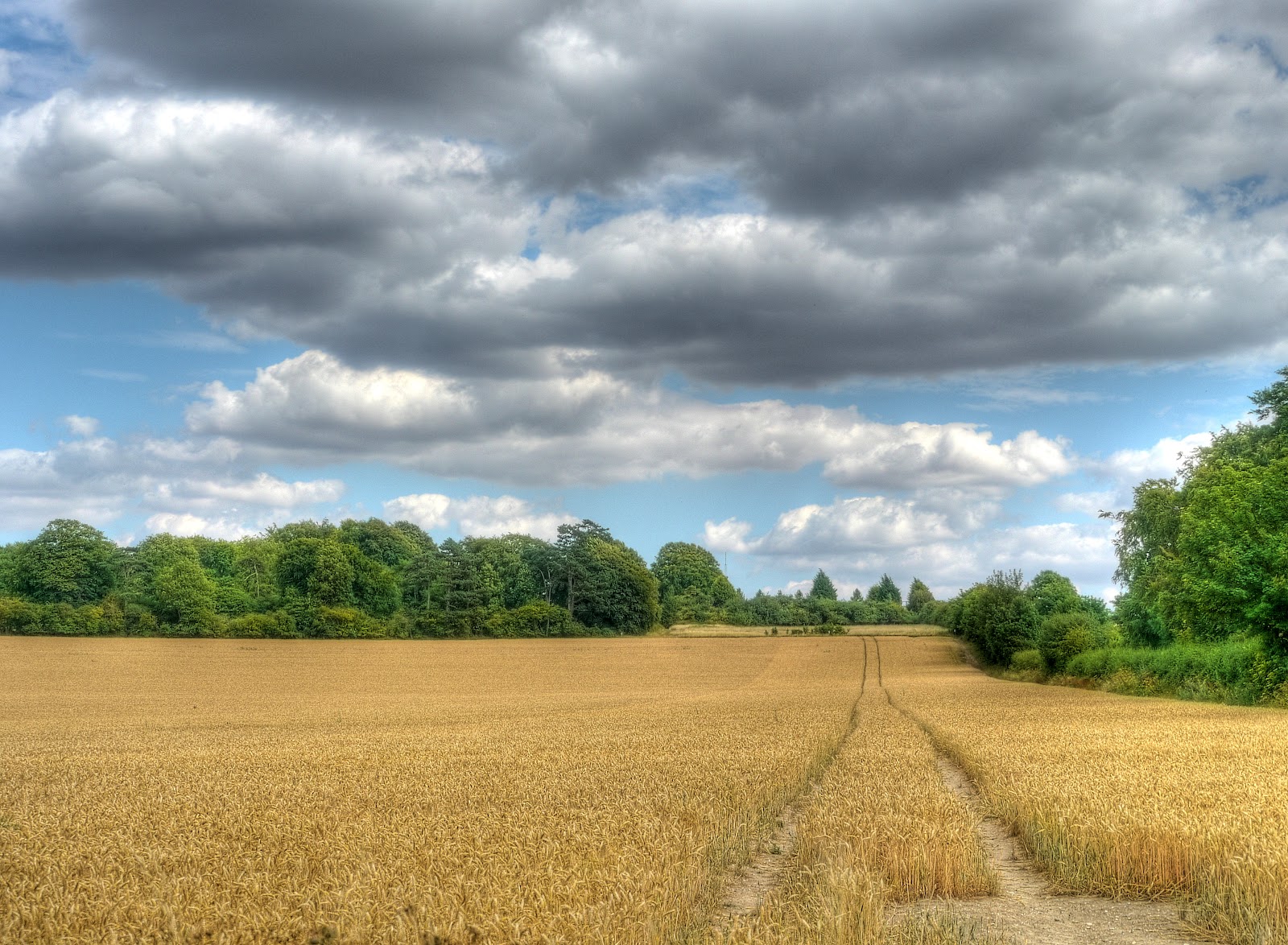 P1150220_14_15_16_17_18_19_tonemapped.jpg