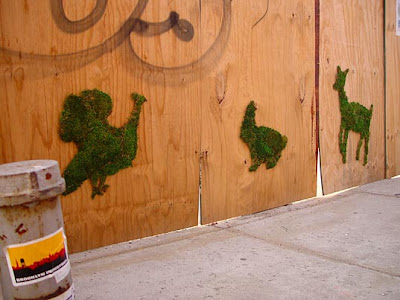 Green Graffiti by Artist Edina Tokodi Seen On www.coolpicturegallery.net