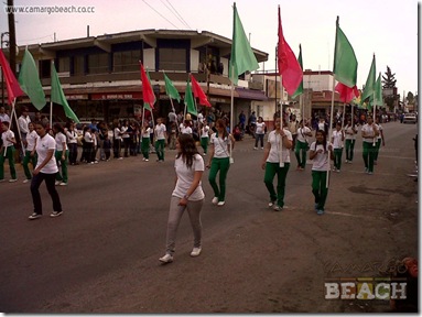 IMG01117-20121120-1106