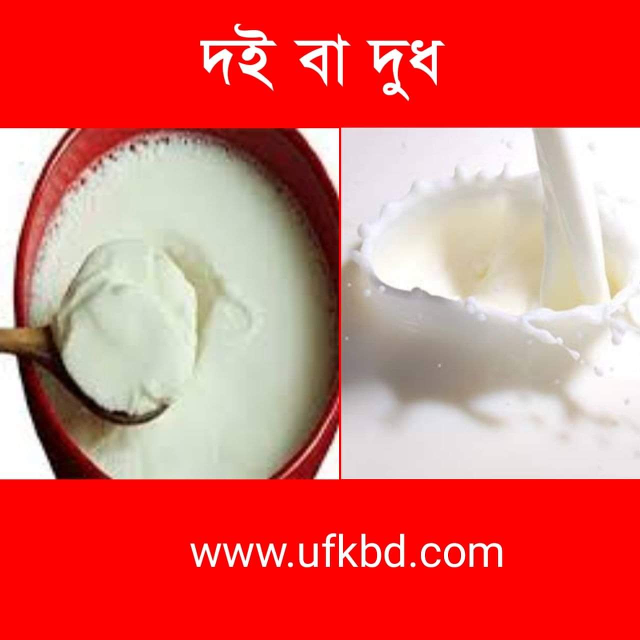 শীতকালে ত্বক সুস্থ রাখতে দই বা দুধ