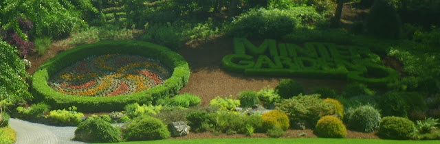  Minter Garden logo contains Thuia Occidentalis