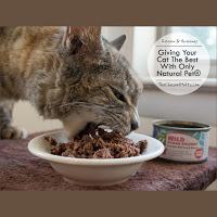 only  natural pet wet cat food review