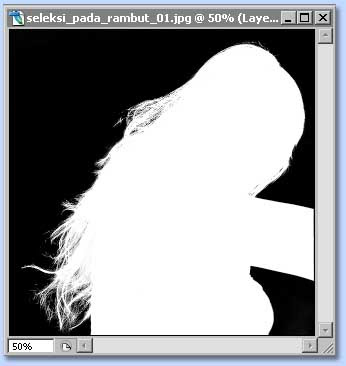 tutorial photoshop untuk membuat seleksi dengan channel dan layer  mask, gambar 5