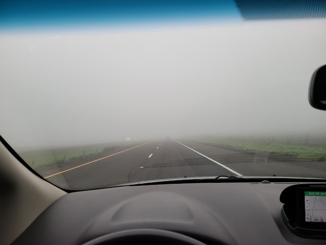 oregon fog