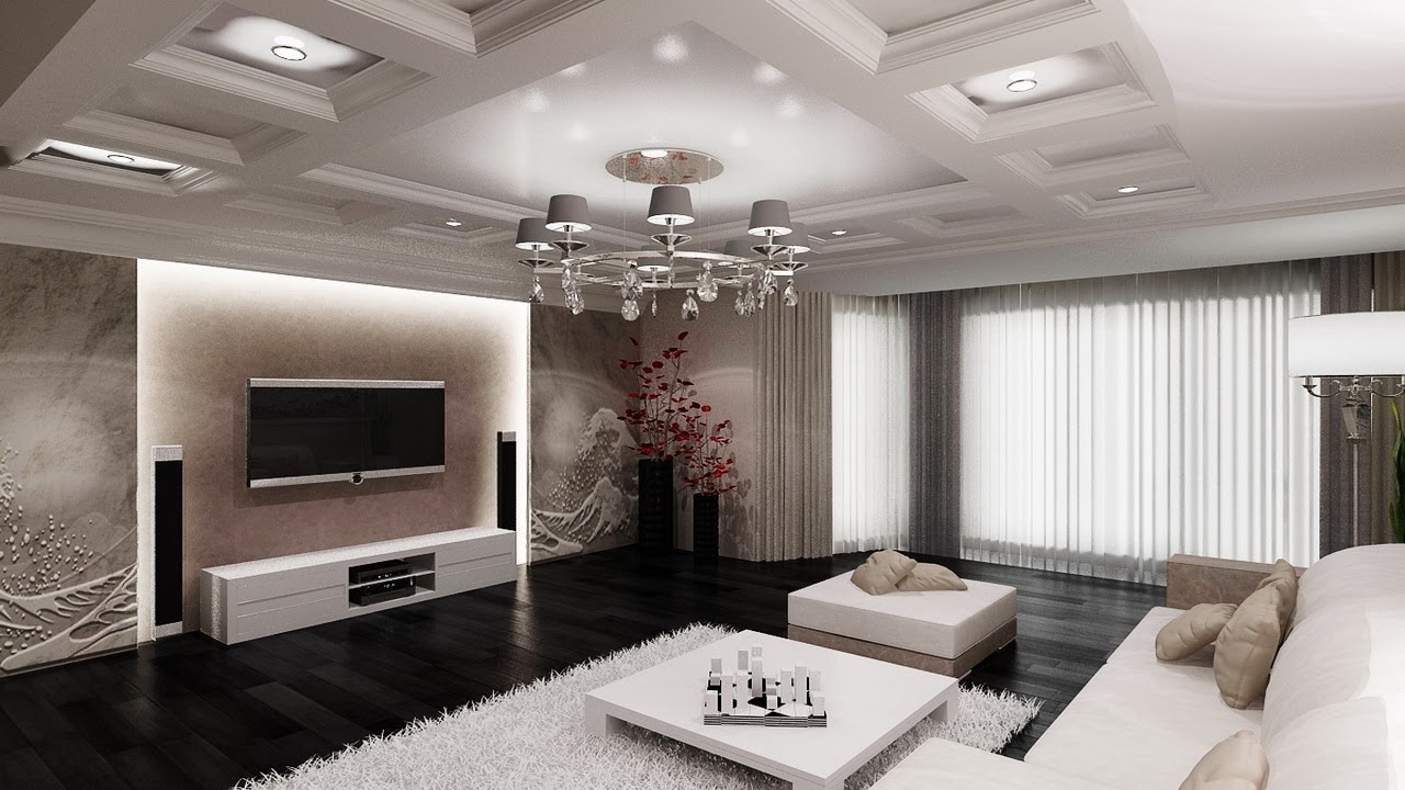  living room  design