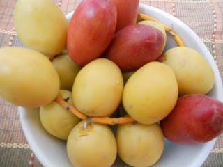 segar, buah  segar kurma kurma kurma,kelebihan tamar buah segar, khasiat kurma