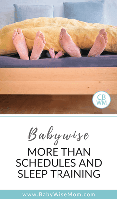  So Much More Than Schedules together with Sleep Training Babywise: So Much More Than Schedules together with Sleep Training!