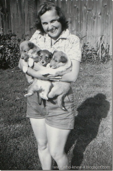 Bruce Pups