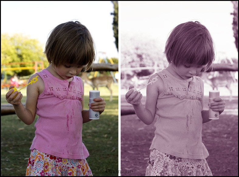 SONY DSC
