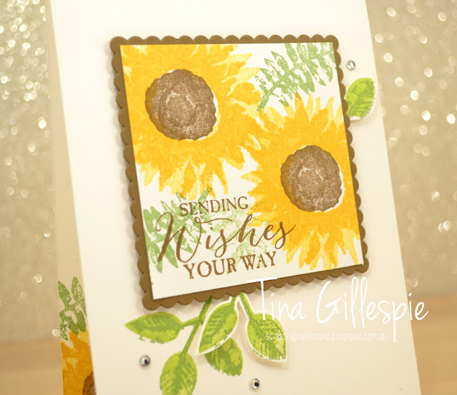 scissorspapercard, Stampin' Up!, Painted Harvest, Butterfly Basics, Layering Squares Framelits