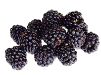 blackberries