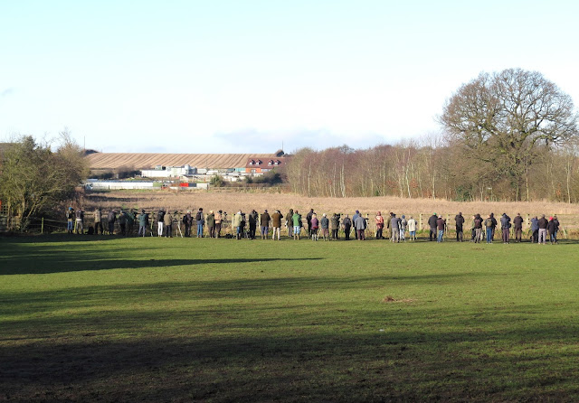 Dunnington Pine Bunting crowd