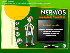 http://www.ceiploreto.es/sugerencias/Educarchile/conocimento/06_nervios_transmiten/LearningObject/index.html