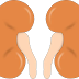 Kidney damage habits