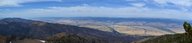 expanse of grasslands