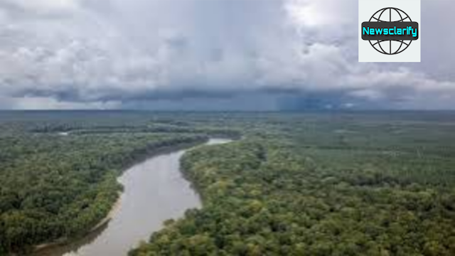 Oil Drilling Banned Near Apalachicola River: Florida Passes Historic Environmental Law