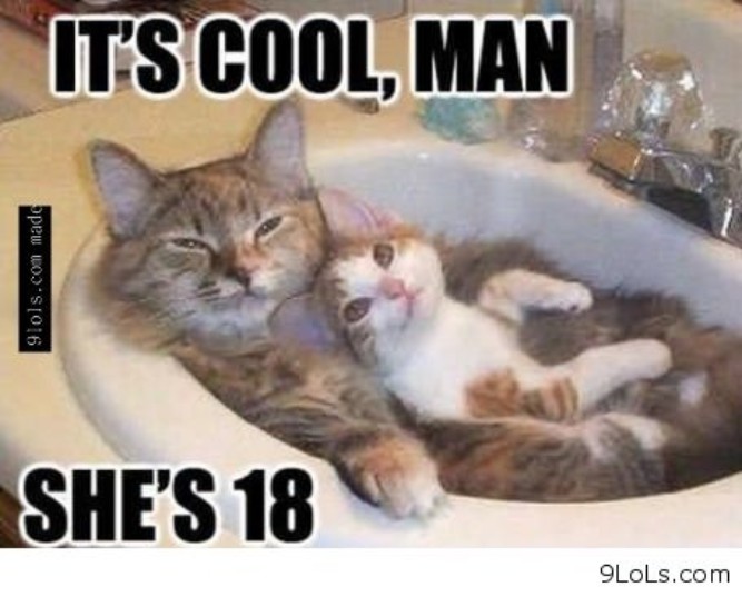 Its cool man, she is 18! - Funny memes pictures, photos, images, pics, captions, jokes, quotes, wishes, quotes, sms, status, messages, wallpapers.