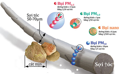 Mô phỏng kích thước của các loại bụi gây hại tới sức khỏe con người